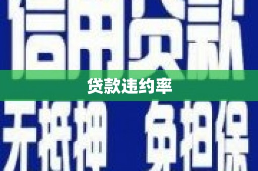 邵武贷款违约率