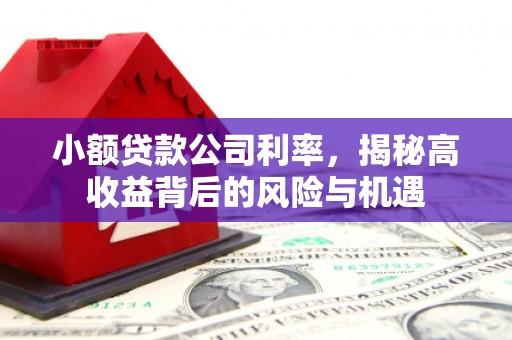 邵武小额贷款公司利率，揭秘高收益背后的风险与机遇