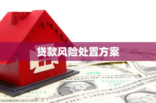 邵武贷款风险处置方案