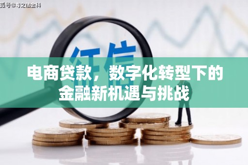 邵武电商贷款，数字化转型下的金融新机遇与挑战