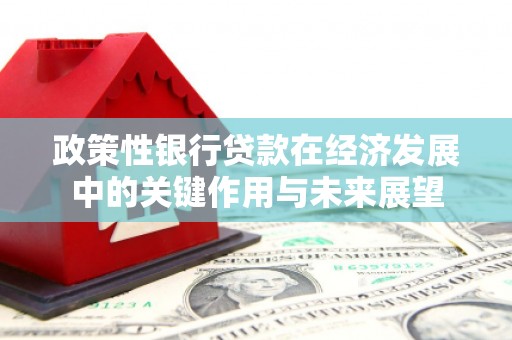 邵武政策性银行贷款在经济发展中的关键作用与未来展望