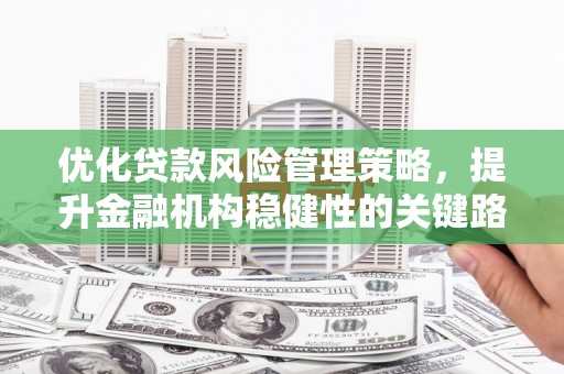 邵武优化贷款风险管理策略，提升金融机构稳健性的关键路径