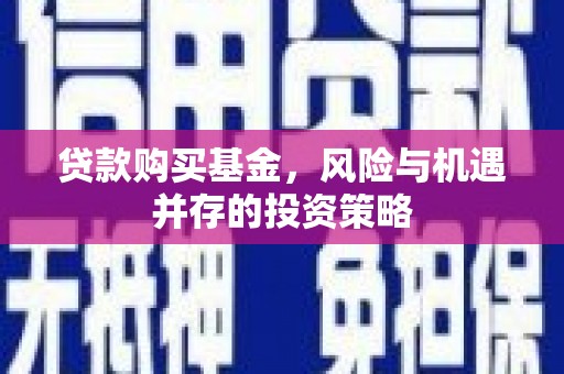 邵武贷款购买基金，风险与机遇并存的投资策略