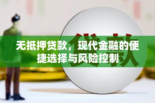邵武无抵押贷款，现代金融的便捷选择与风险控制