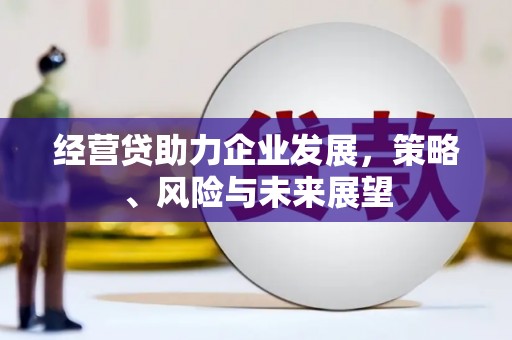 邵武经营贷助力企业发展，策略、风险与未来展望