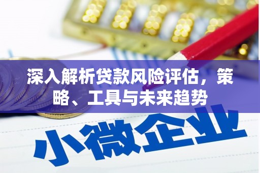 邵武深入解析贷款风险评估，策略、工具与未来趋势