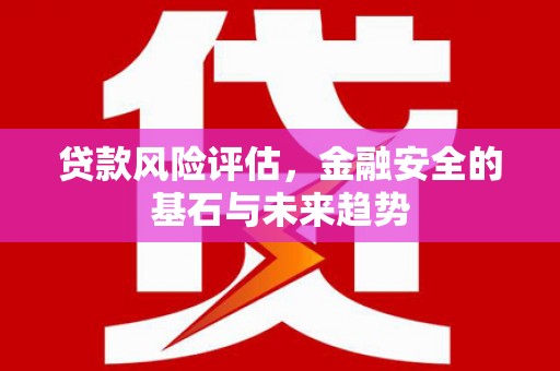 邵武贷款风险评估，金融安全的基石与未来趋势