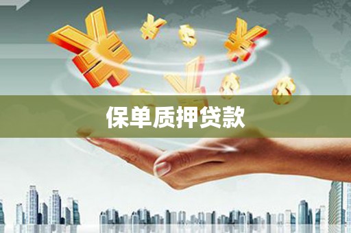 邵武保单质押贷款
