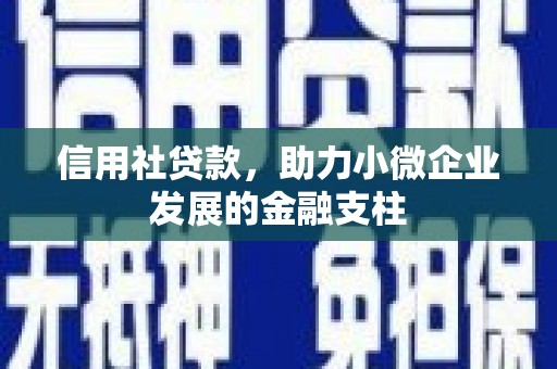 邵武信用社贷款，助力小微企业发展的金融支柱