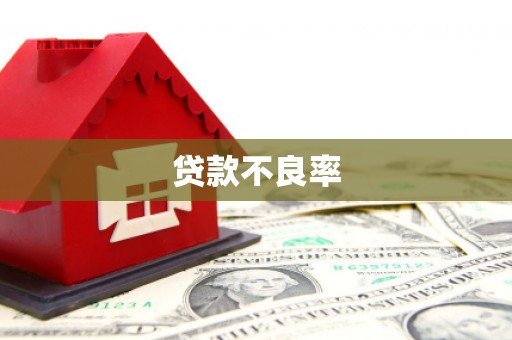 邵武贷款不良率
