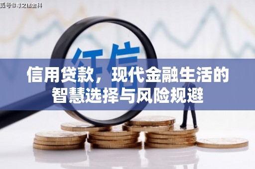 邵武信用贷款，现代金融生活的智慧选择与风险规避