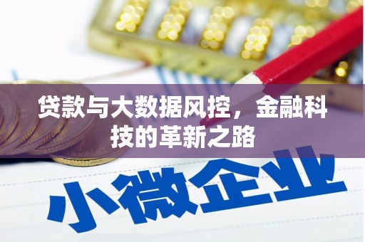 邵武贷款与大数据风控，金融科技的革新之路