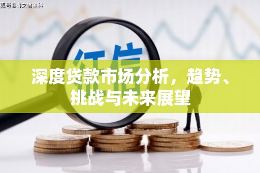邵武深度贷款市场分析，趋势、挑战与未来展望