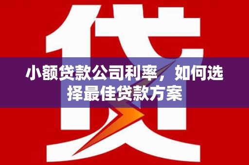 邵武小额贷款公司利率，如何选择最佳贷款方案