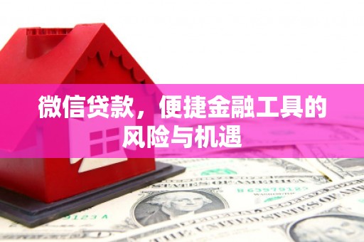 邵武微信贷款，便捷金融工具的风险与机遇