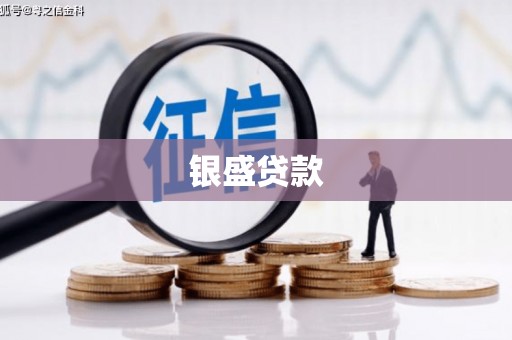 邵武银盛贷款