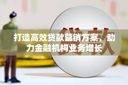 邵武打造高效贷款营销方案，助力金融机构业务增长