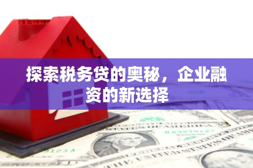 邵武探索税务贷的奥秘，企业融资的新选择