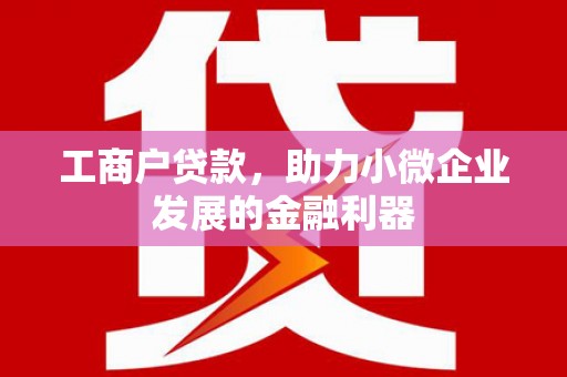 邵武工商户贷款，助力小微企业发展的金融利器