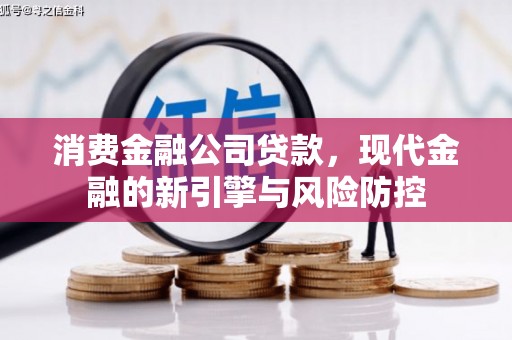 邵武消费金融公司贷款，现代金融的新引擎与风险防控