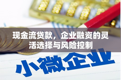 邵武现金流贷款，企业融资的灵活选择与风险控制