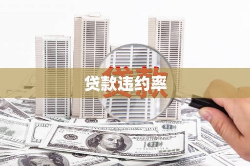 邵武贷款违约率