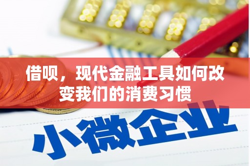 邵武借呗，现代金融工具如何改变我们的消费习惯