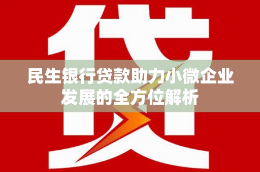 邵武民生银行贷款助力小微企业发展的全方位解析