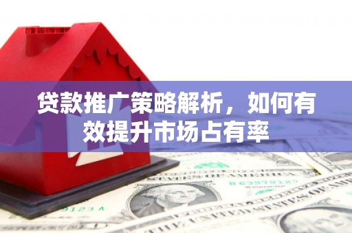 邵武贷款推广策略解析，如何有效提升市场占有率