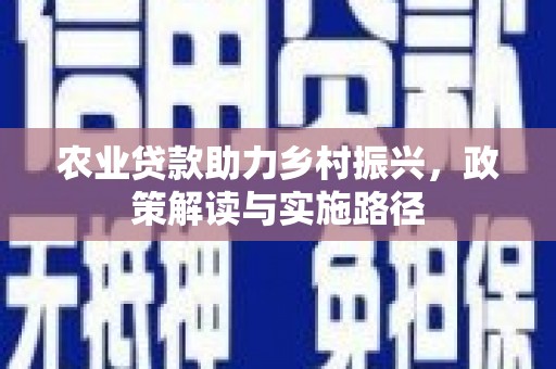 邵武农业贷款助力乡村振兴，政策解读与实施路径