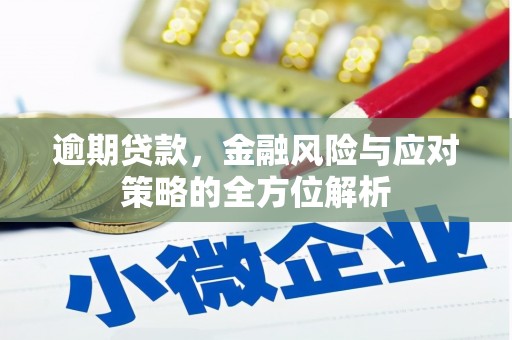 邵武逾期贷款，金融风险与应对策略的全方位解析