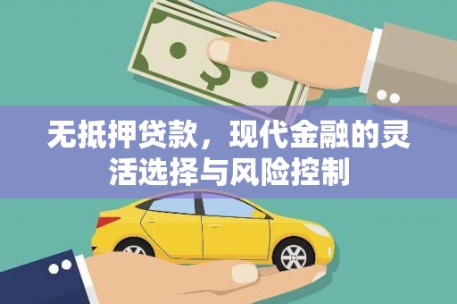 邵武无抵押贷款，现代金融的灵活选择与风险控制