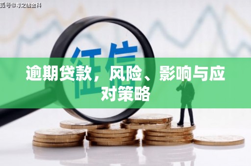 邵武逾期贷款，风险、影响与应对策略