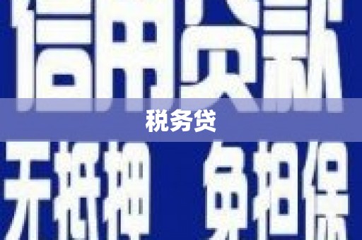 邵武税务贷