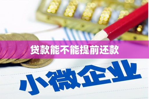 邵武贷款能不能提前还款