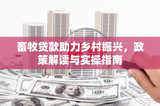 邵武畜牧贷款助力乡村振兴，政策解读与实操指南