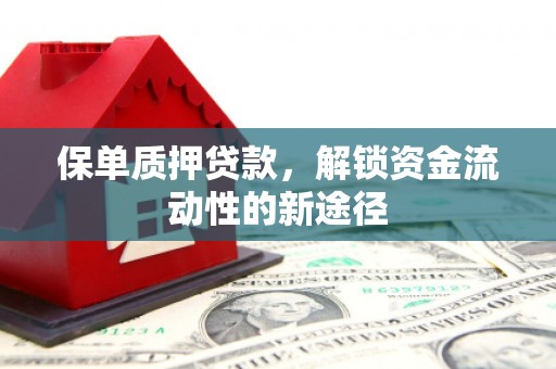 邵武保单质押贷款，解锁资金流动性的新途径