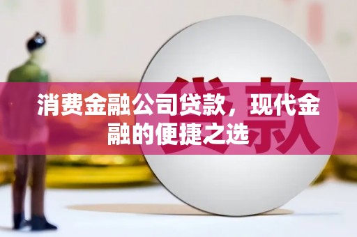 邵武消费金融公司贷款，现代金融的便捷之选