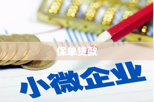 邵武保单贷款