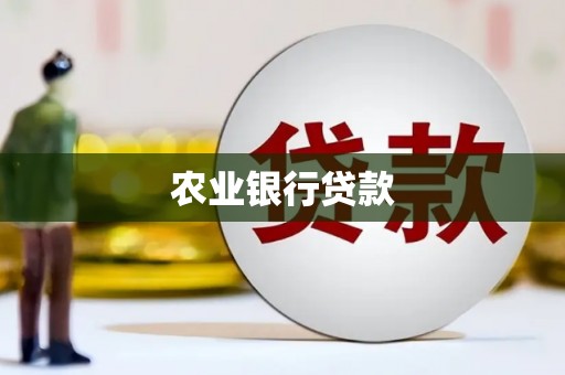 邵武农业银行贷款