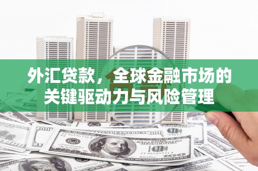 邵武外汇贷款，全球金融市场的关键驱动力与风险管理