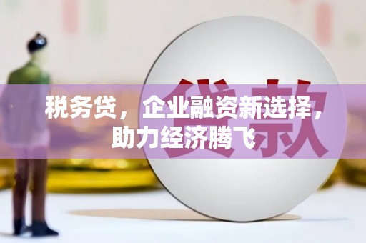 邵武税务贷，企业融资新选择，助力经济腾飞