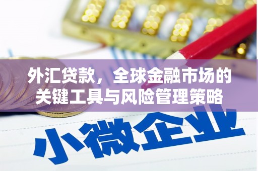 邵武外汇贷款，全球金融市场的关键工具与风险管理策略