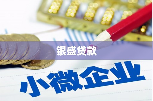 邵武银盛贷款
