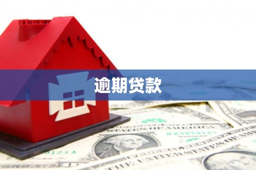 邵武逾期贷款