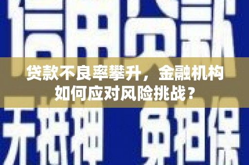 邵武贷款不良率攀升，金融机构如何应对风险挑战？