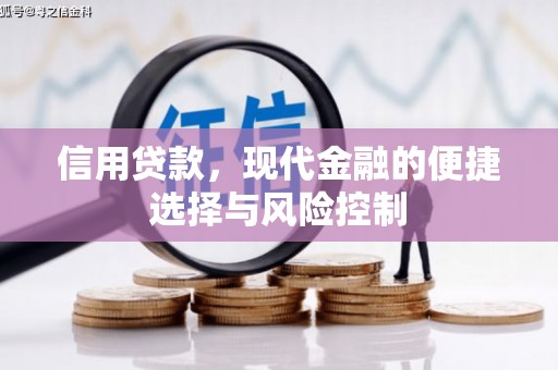邵武信用贷款，现代金融的便捷选择与风险控制