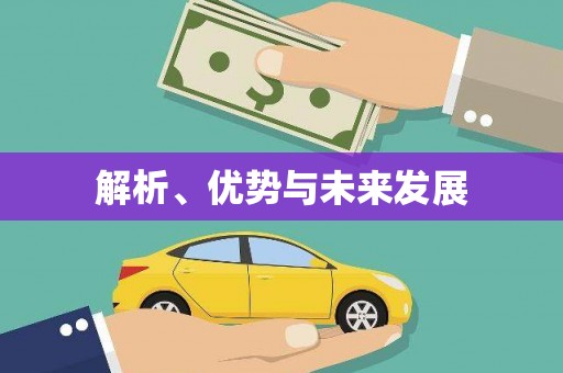 邵武解析、优势与未来发展