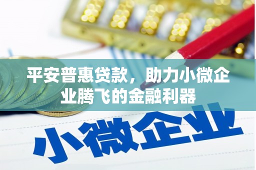 邵武平安普惠贷款，助力小微企业腾飞的金融利器