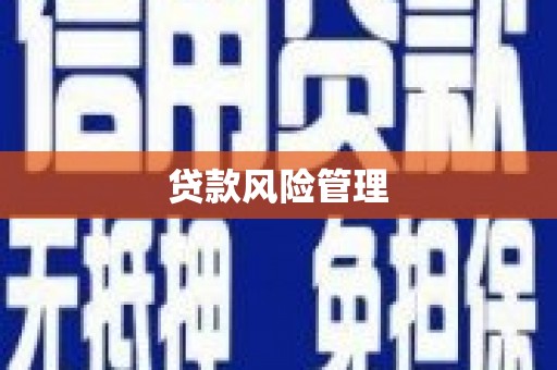 邵武贷款风险管理